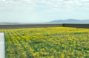 セイコー化工機 本社棟 緑化屋上